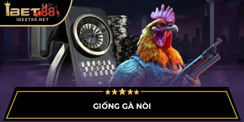 Đá Gà Ibet88: Khám Phá Thế Giới Đá Gà Trực Tuyến 2 Giống gà nòi
